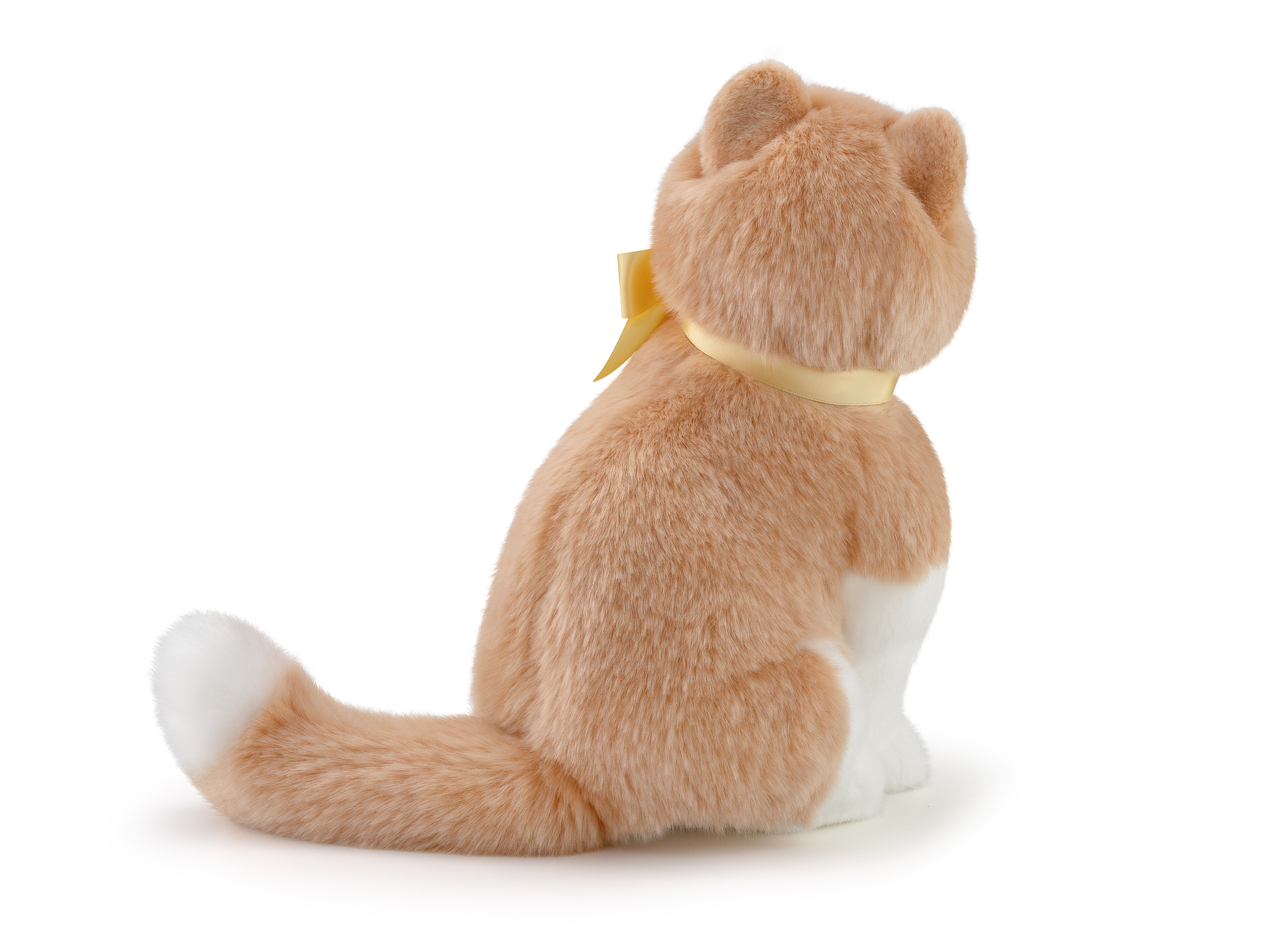 Gatto Charlie M