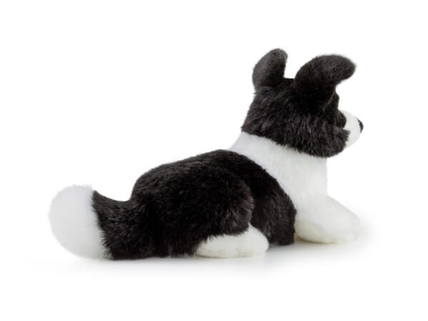 Border Collie Scott small