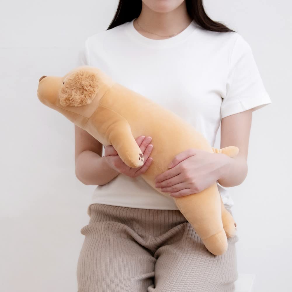 Sora - golden retriever 56 cm Nemu Nemu