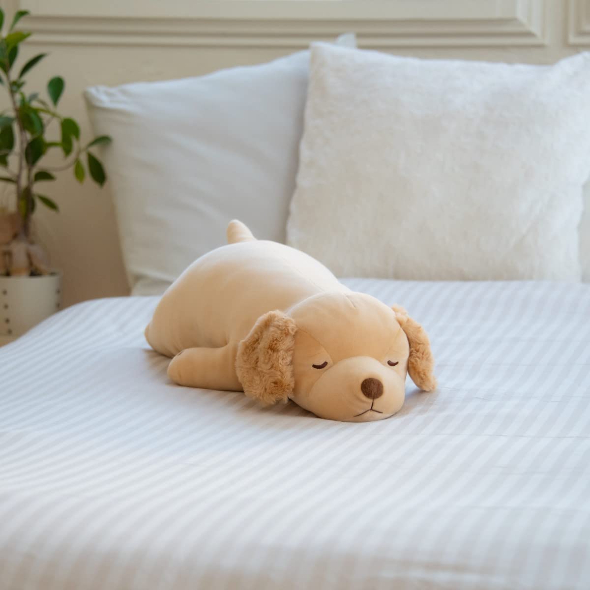 Sora - golden retriever 56 cm Nemu Nemu