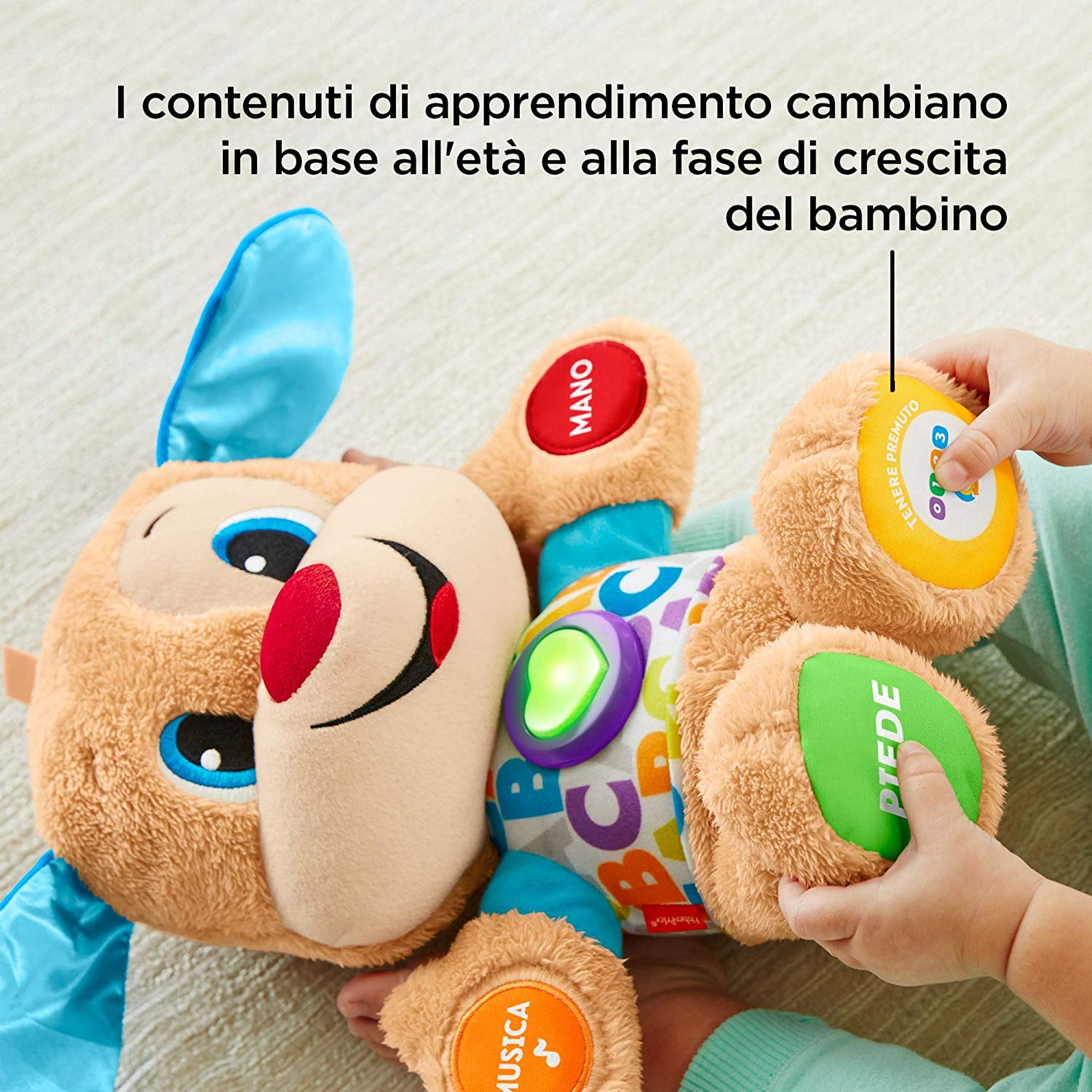 il cagnolino smart stages