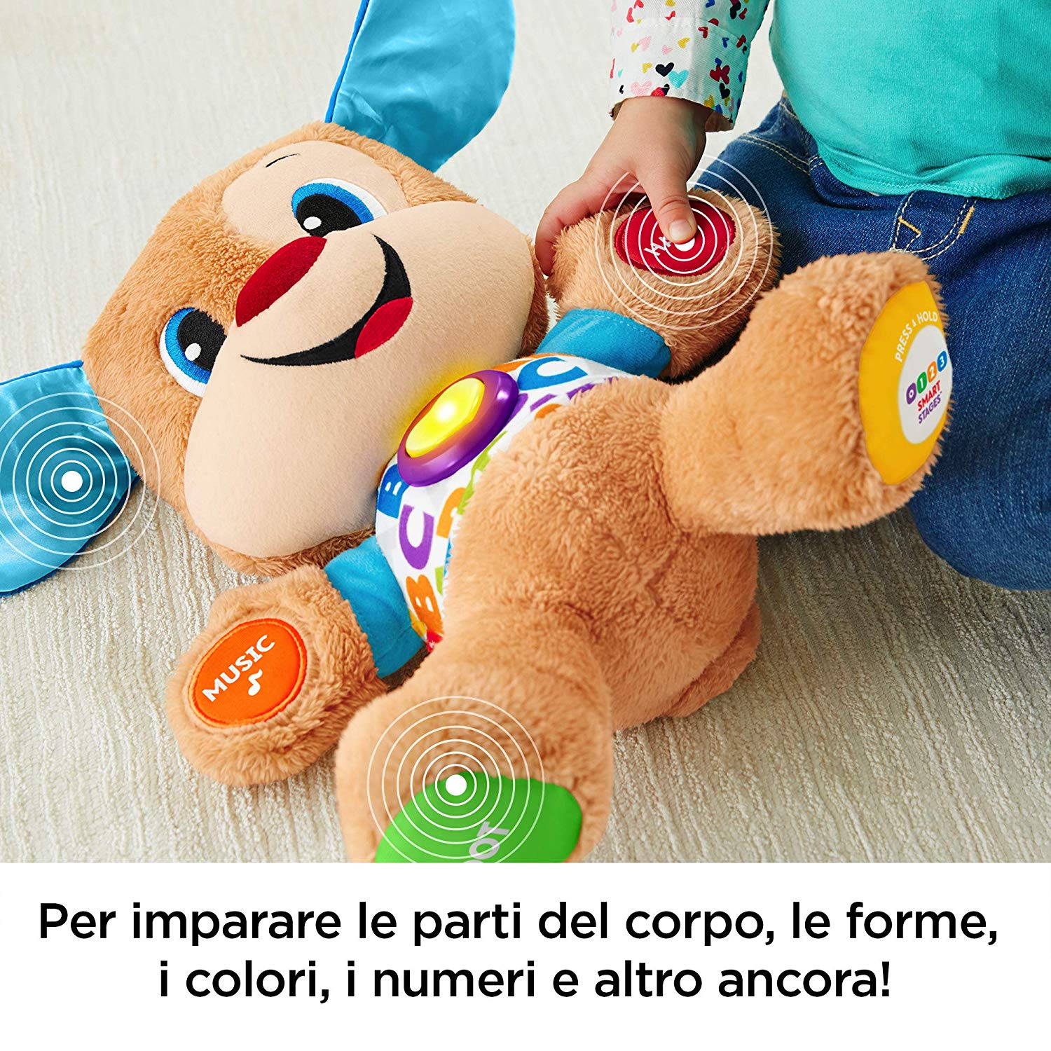 il cagnolino smart stages