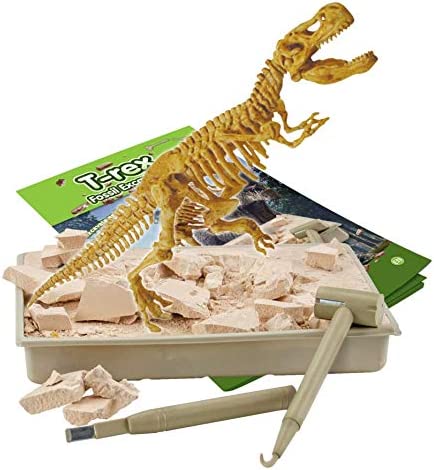 T-rex fossile da scavare