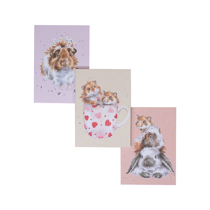 Set 3 Notebooks - Whiskers and Paws