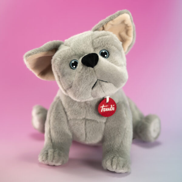 Bulldog francese Bernard 