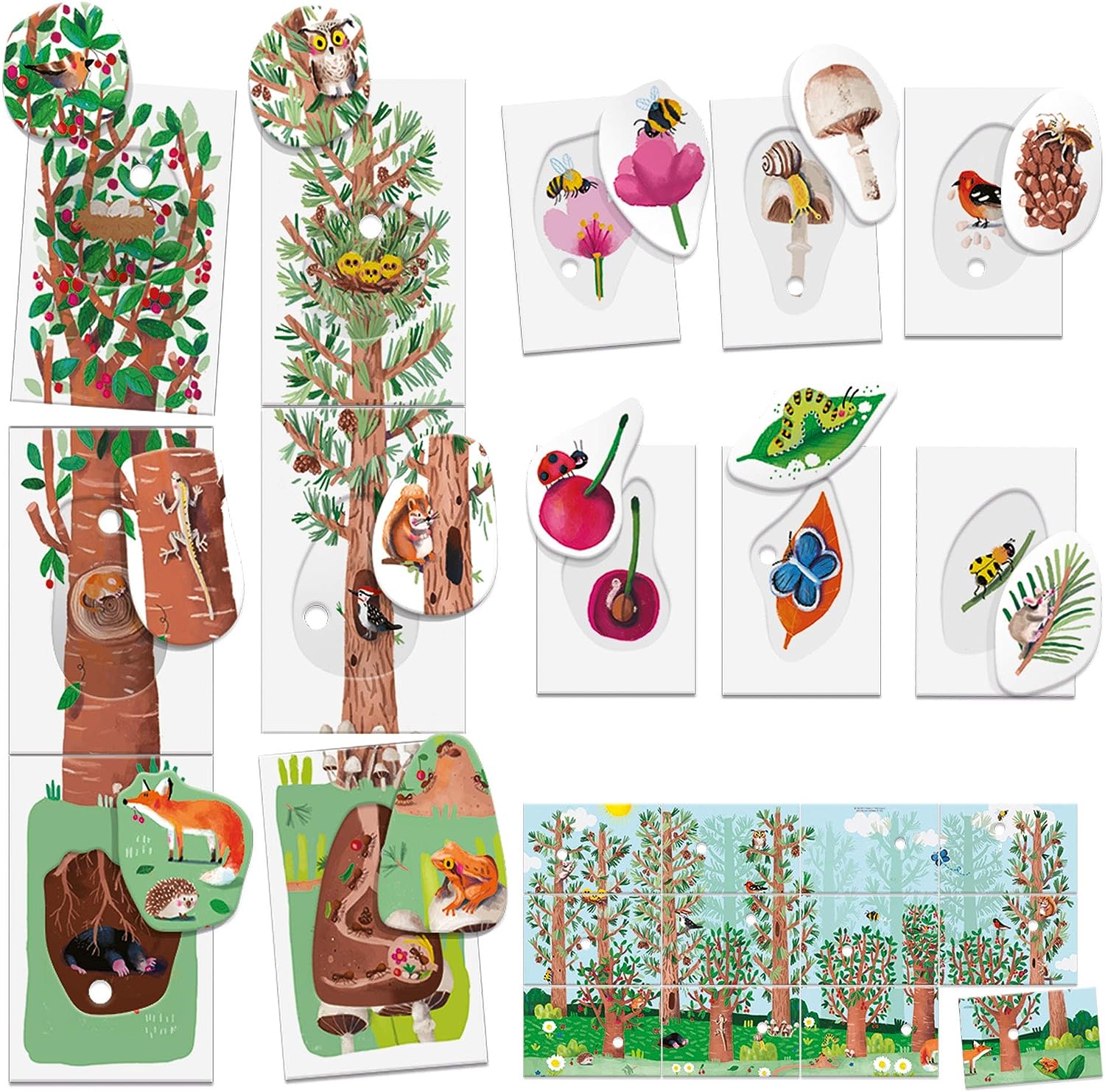Flashcards My First Nature Montessori