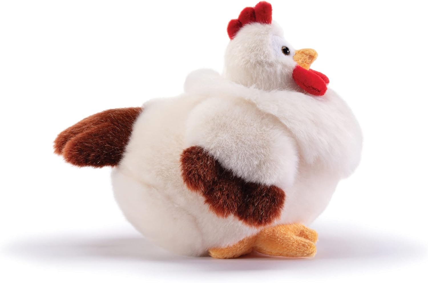 Gallina Daisy S