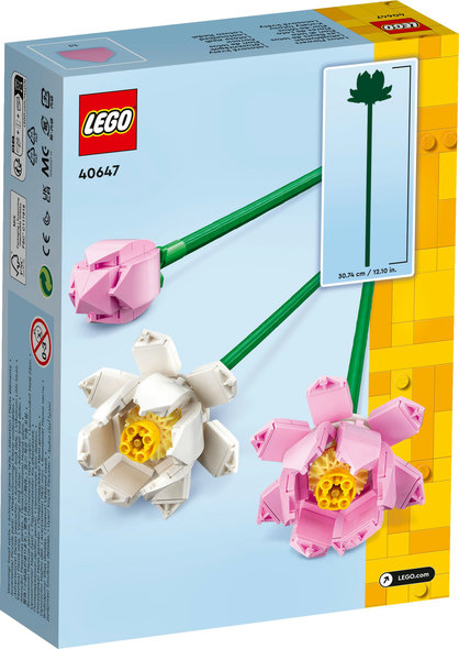 Fiori di loto