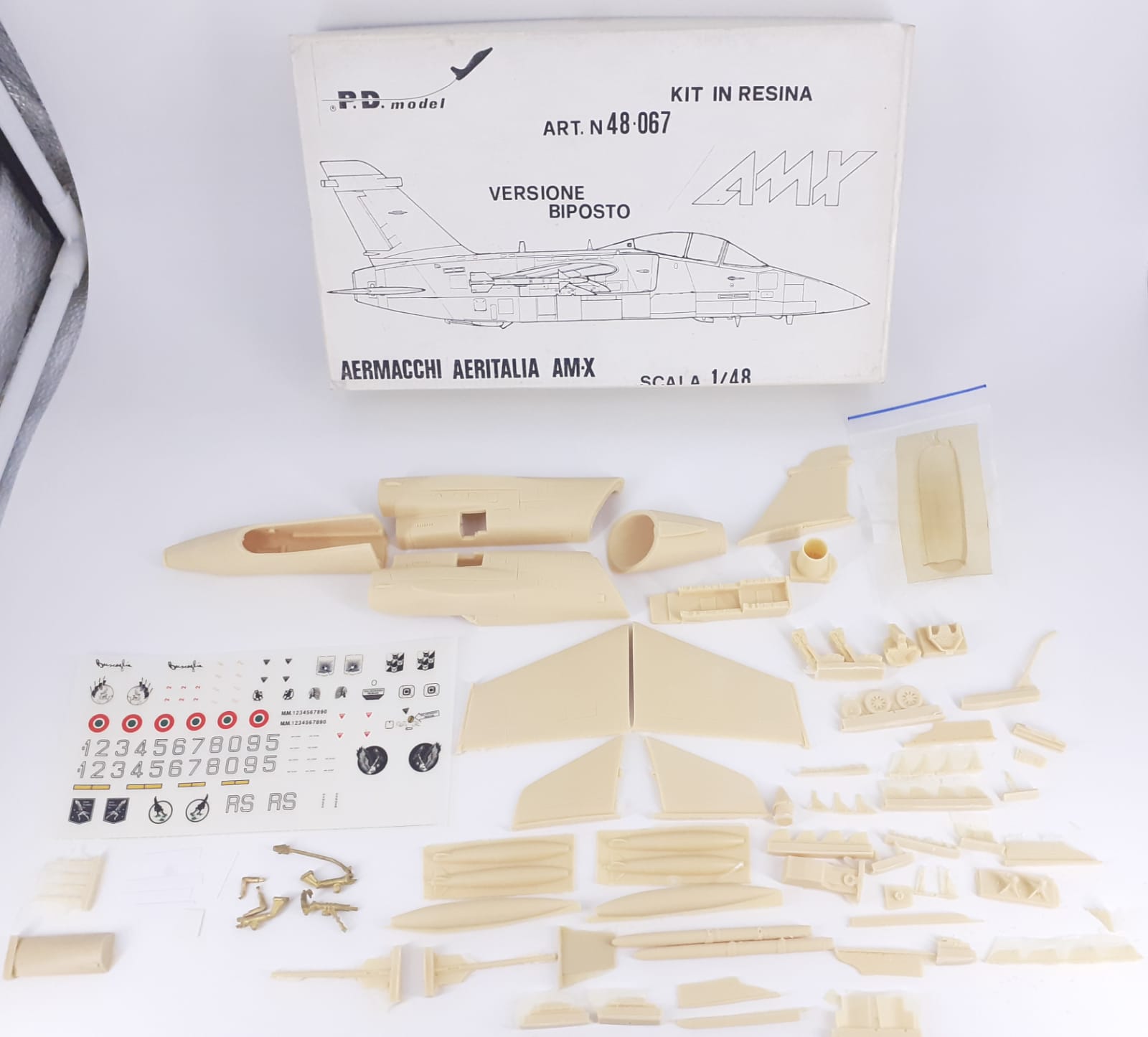 Aermacchi Aeritalia AM-X versione biposto 1/48 kit in resina