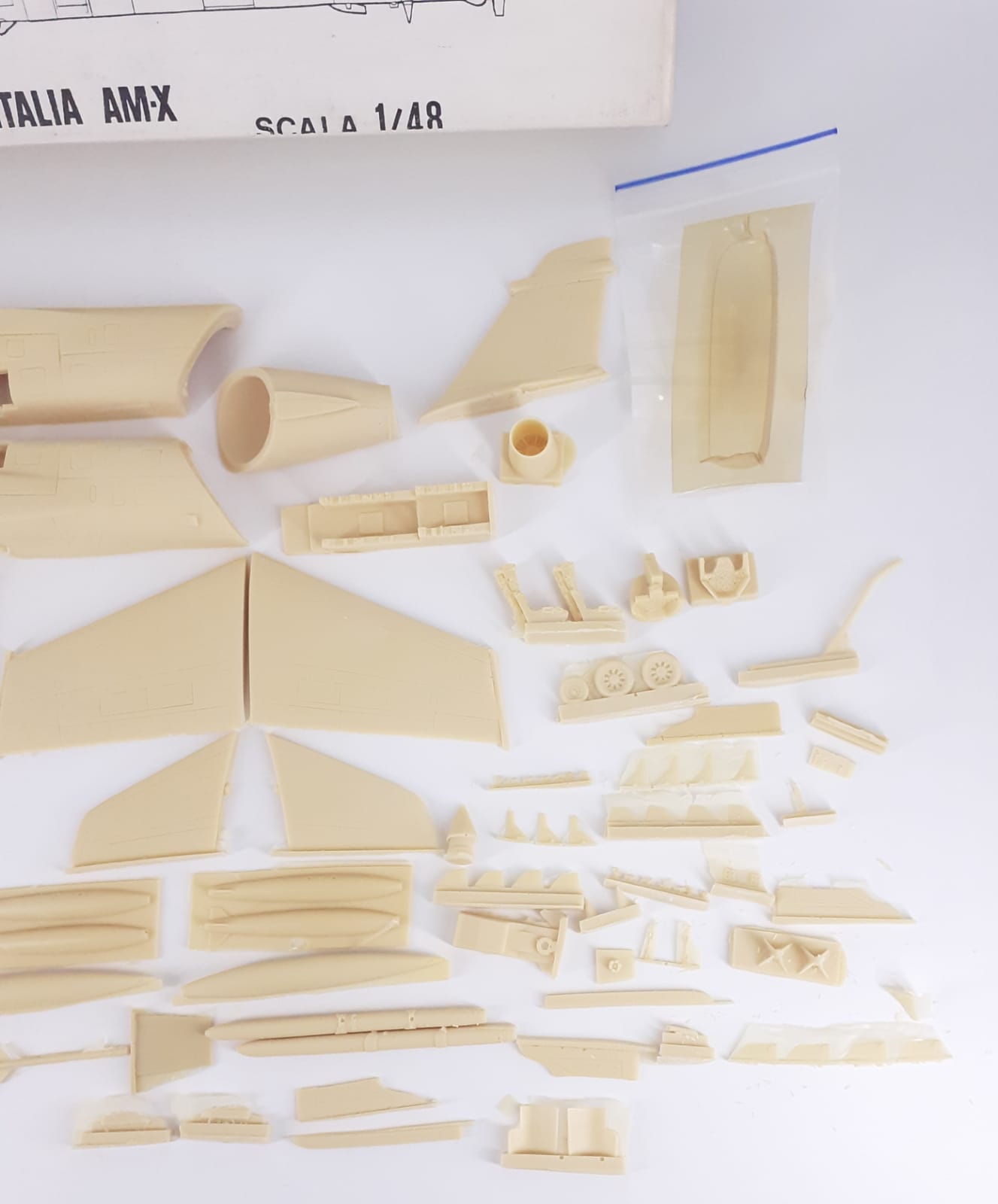 Aermacchi Aeritalia AM-X versione biposto 1/48 kit in resina