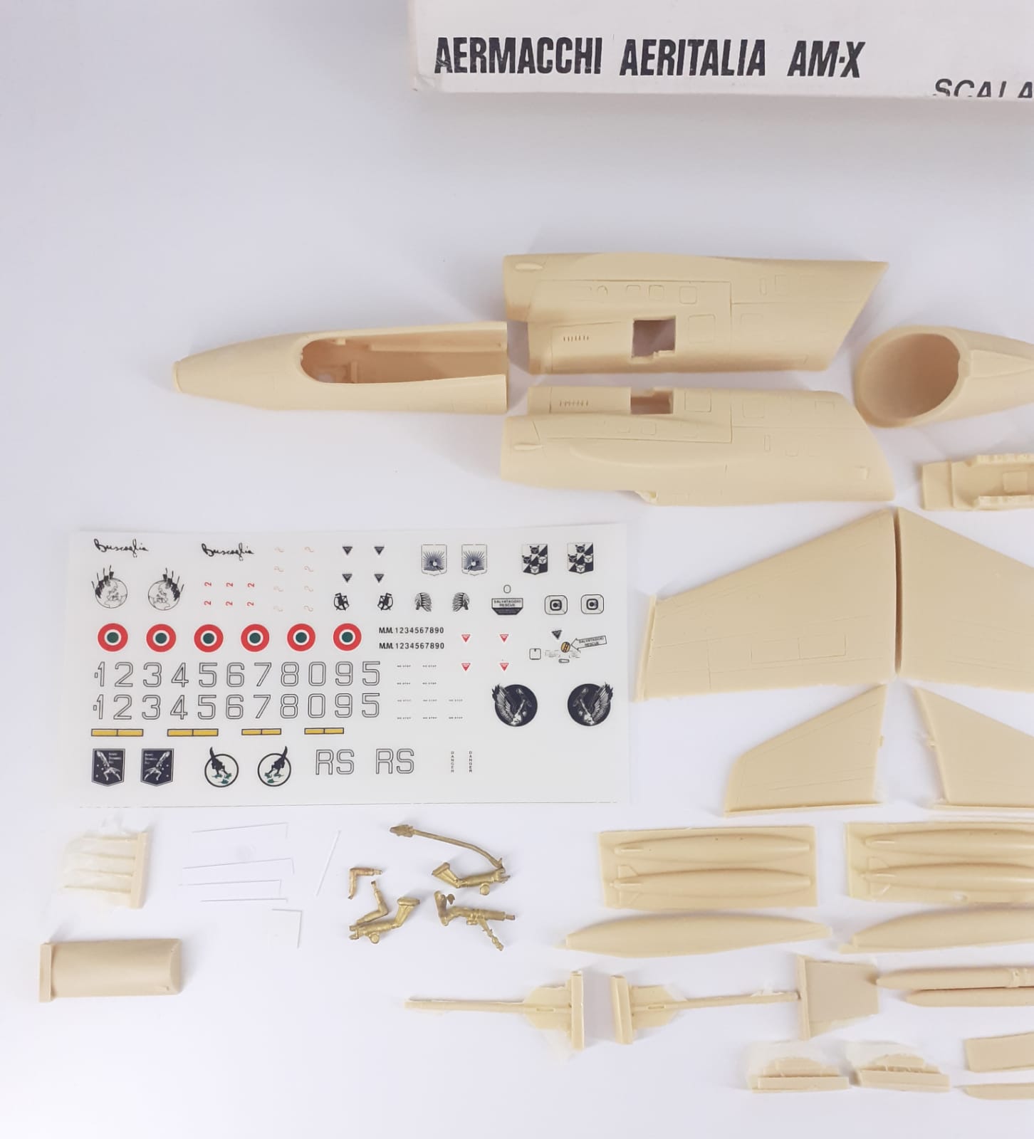 Aermacchi Aeritalia AM-X versione biposto 1/48 kit in resina