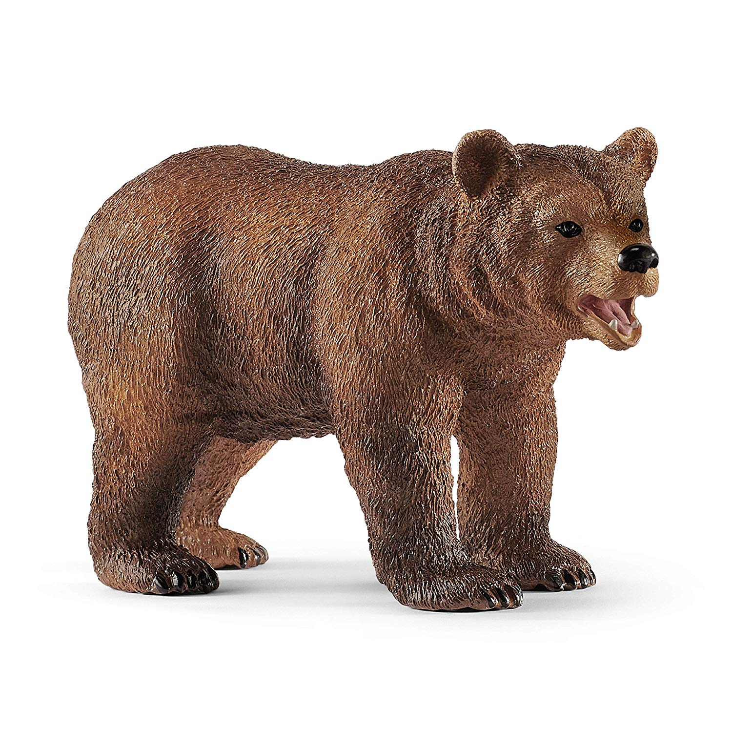 Madre e cucciolo Grizzly