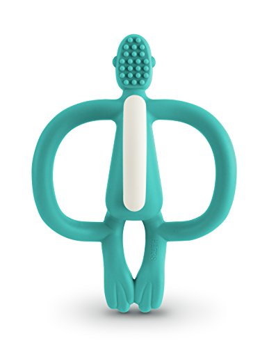 scimmietta seduta per dentizione