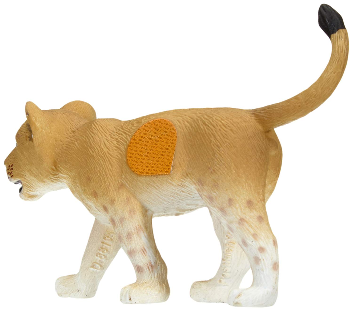 Cucciolo di leone