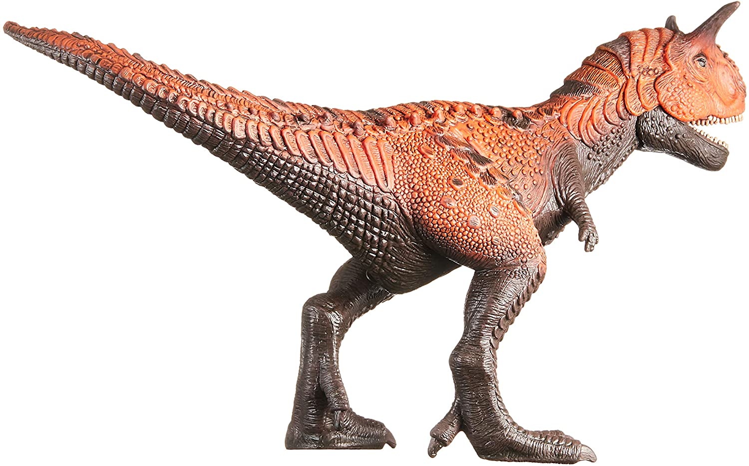 Carnotauro dinosauro