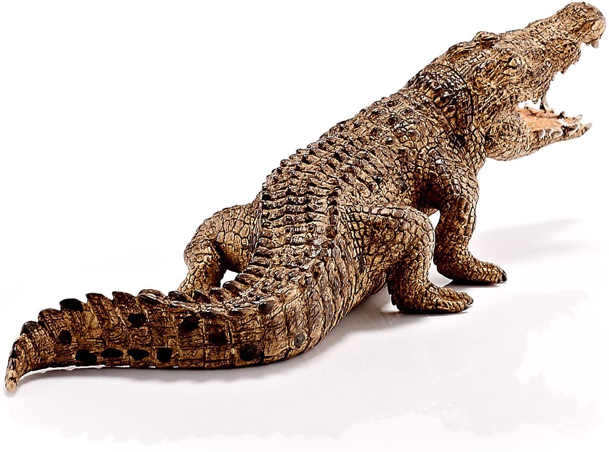 Coccodrillo