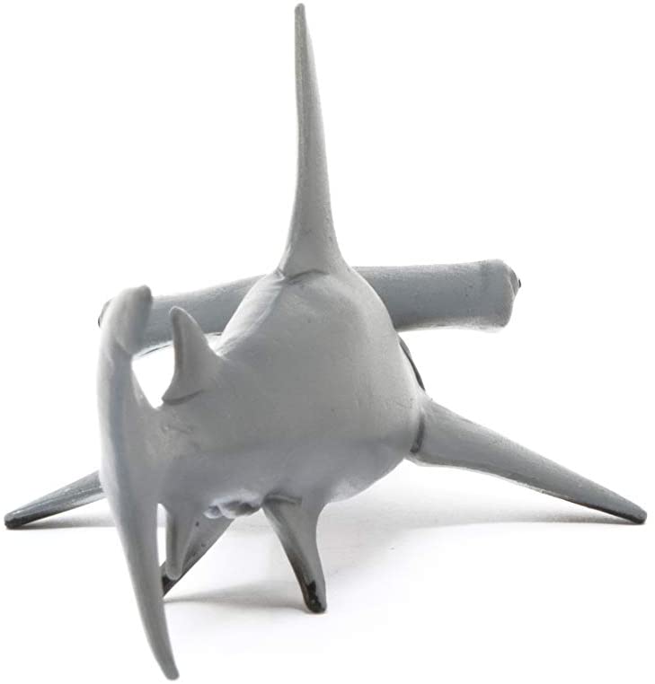 Squalo martello