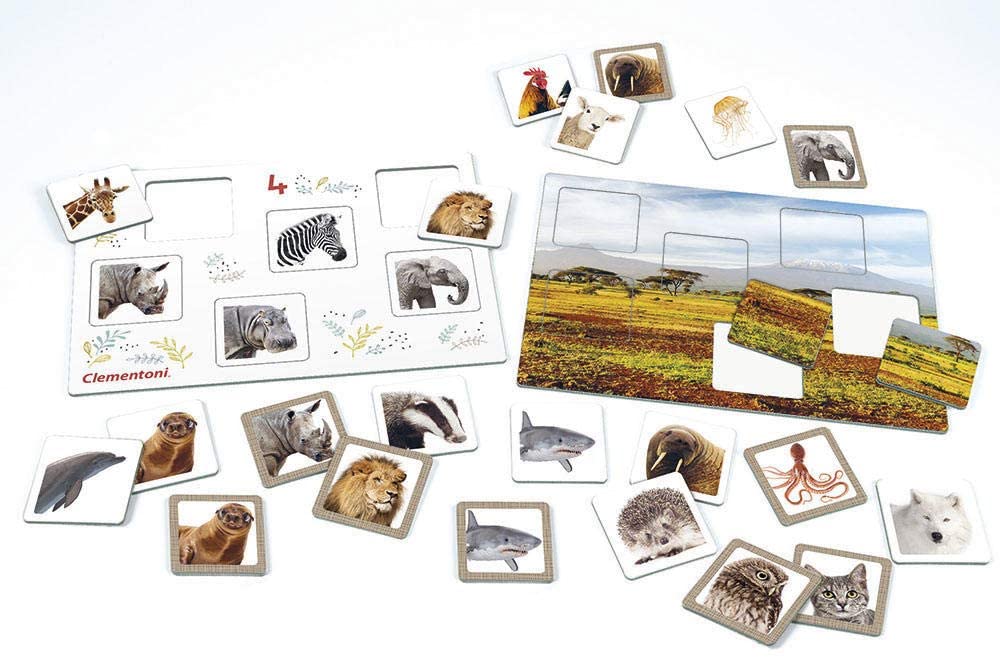tombola degli animali
