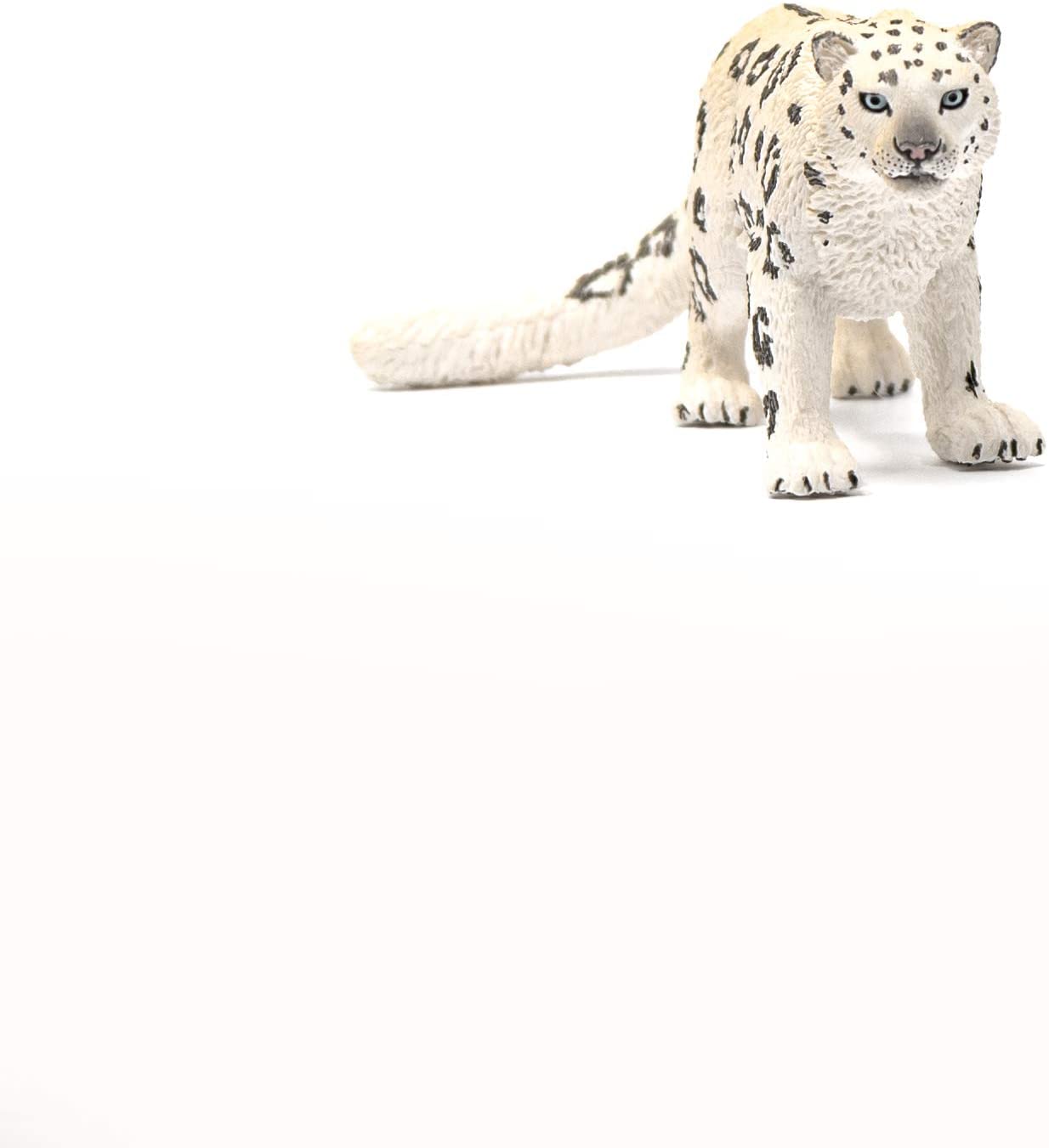 leopardo delle nevi