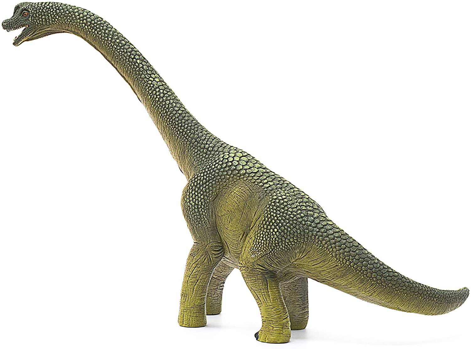 Brachiosauro