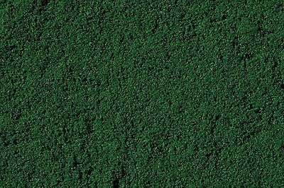 ciuffi verde foresta