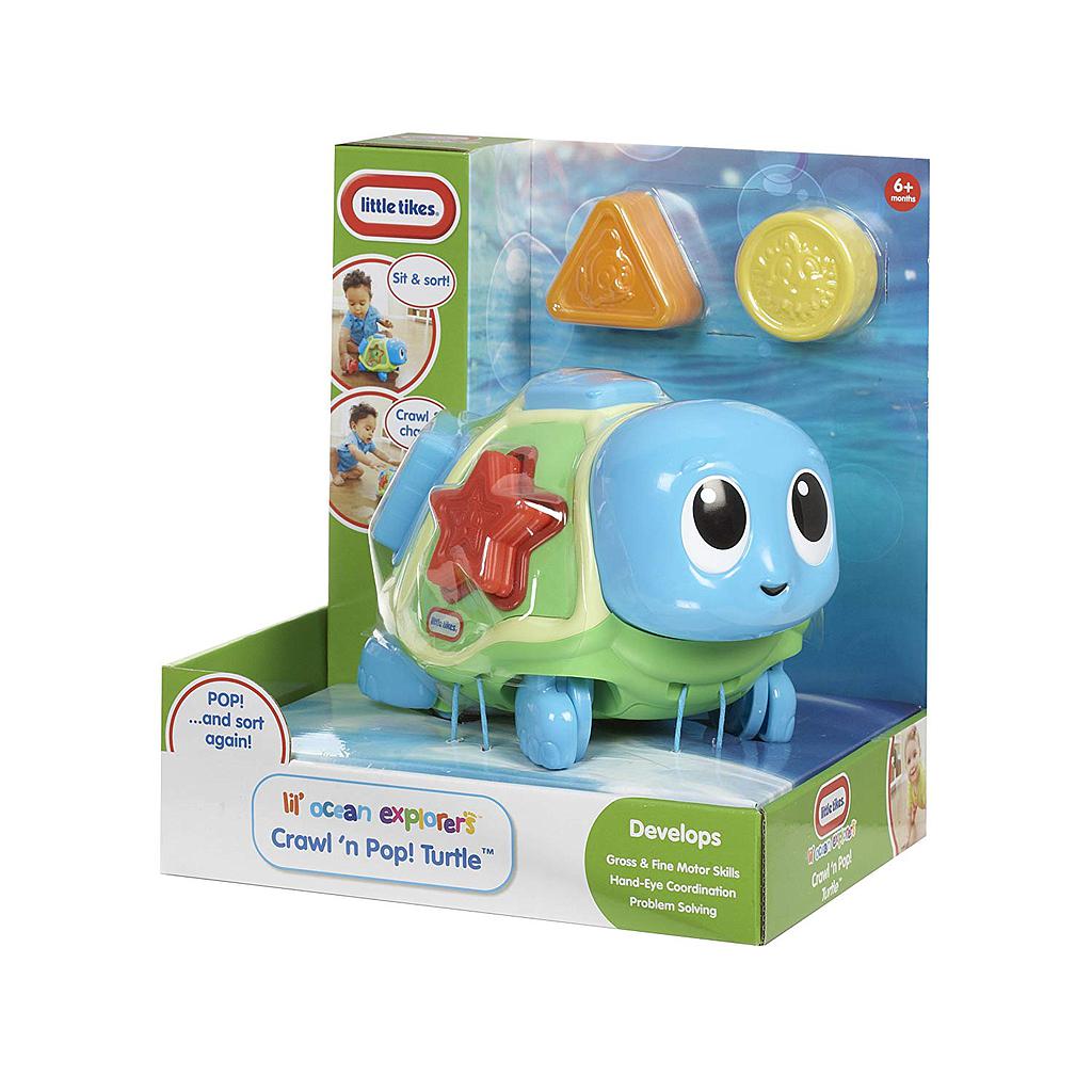 Gioco delle forme Tartaruga