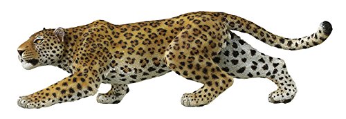 leopardo 