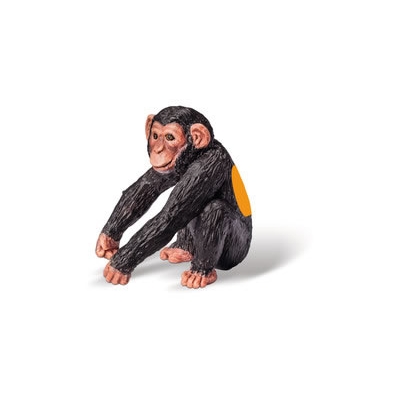 Cucciolo di scimpanzé tiptoi