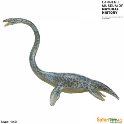 elasmosaurus dinosauro