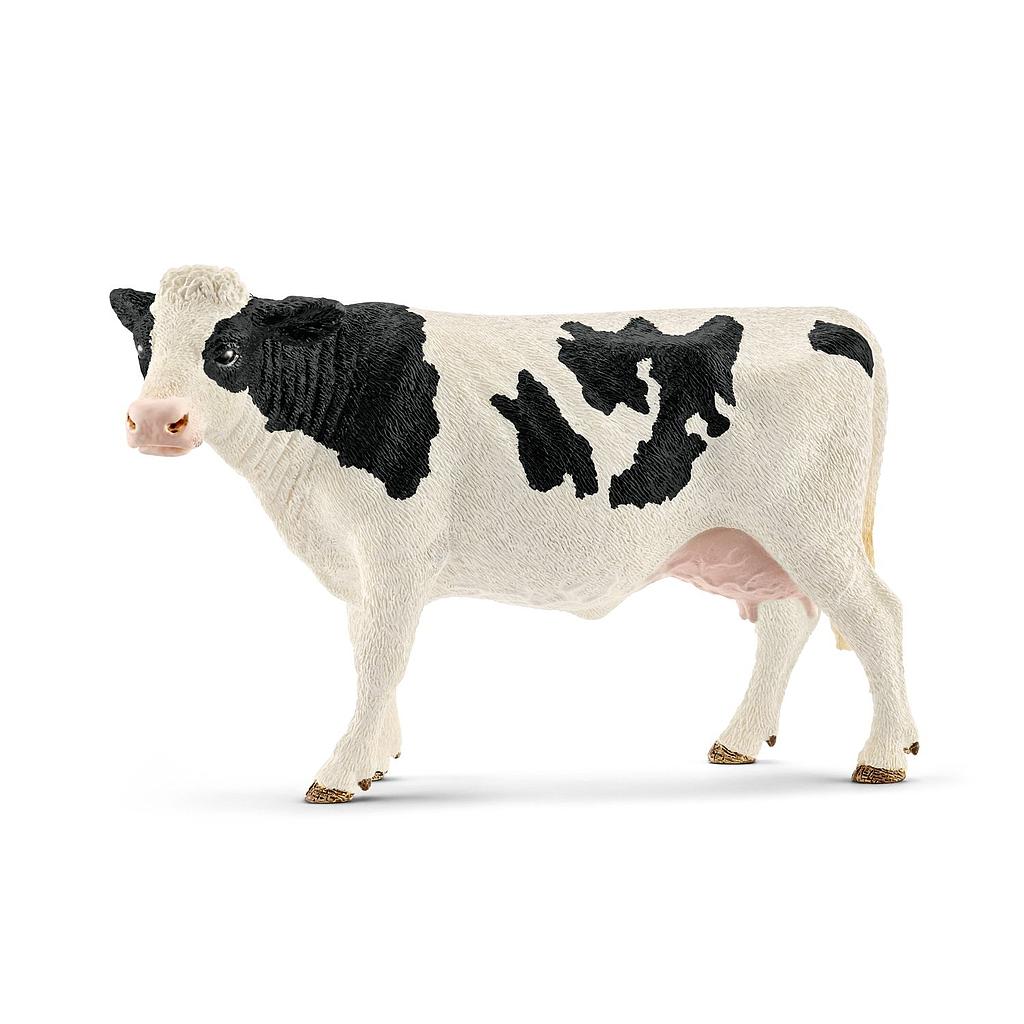 mucca holstein