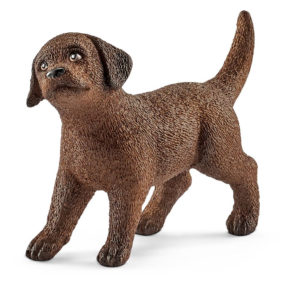 cucciolo di labrador retriever