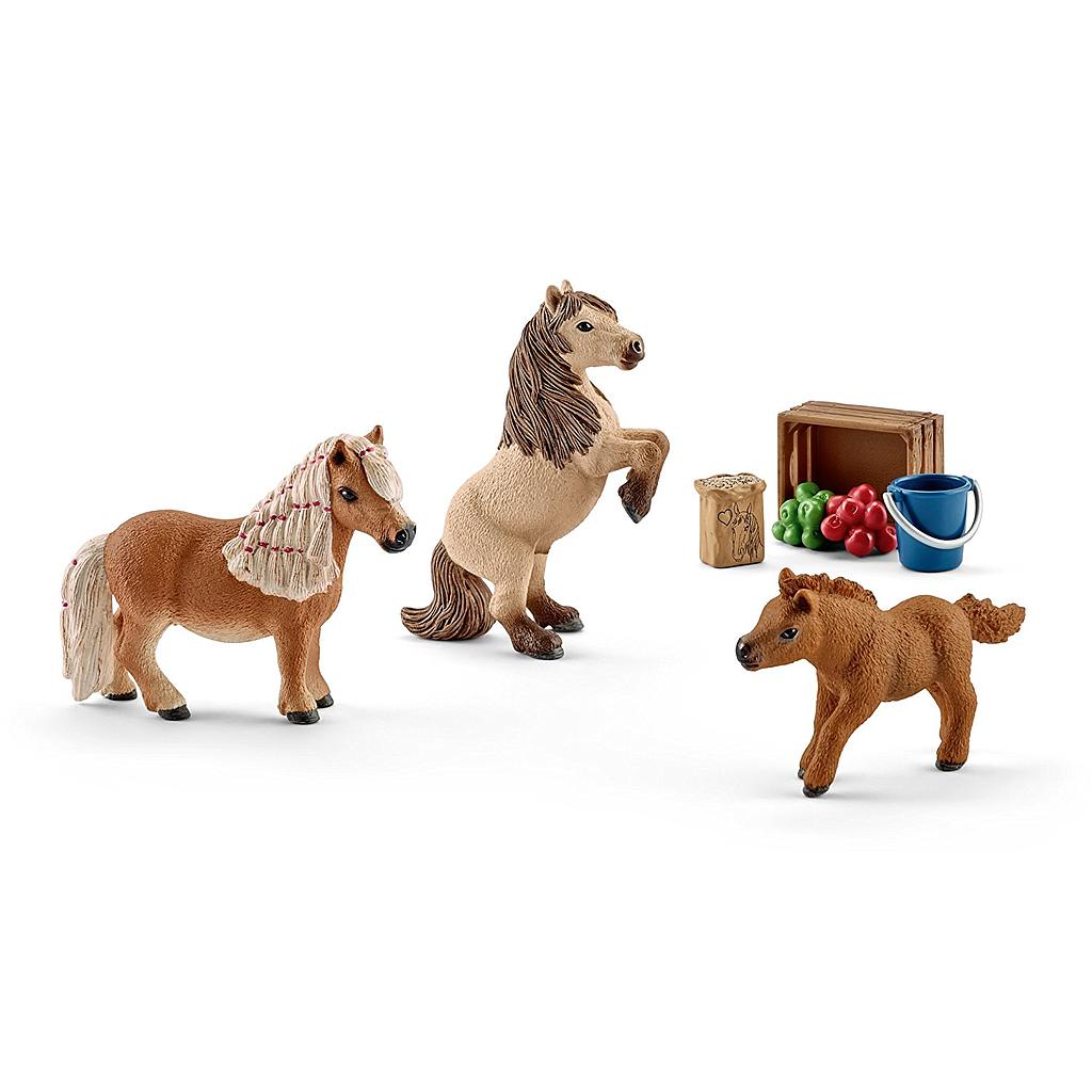 mini famiglia di cavalli shetland