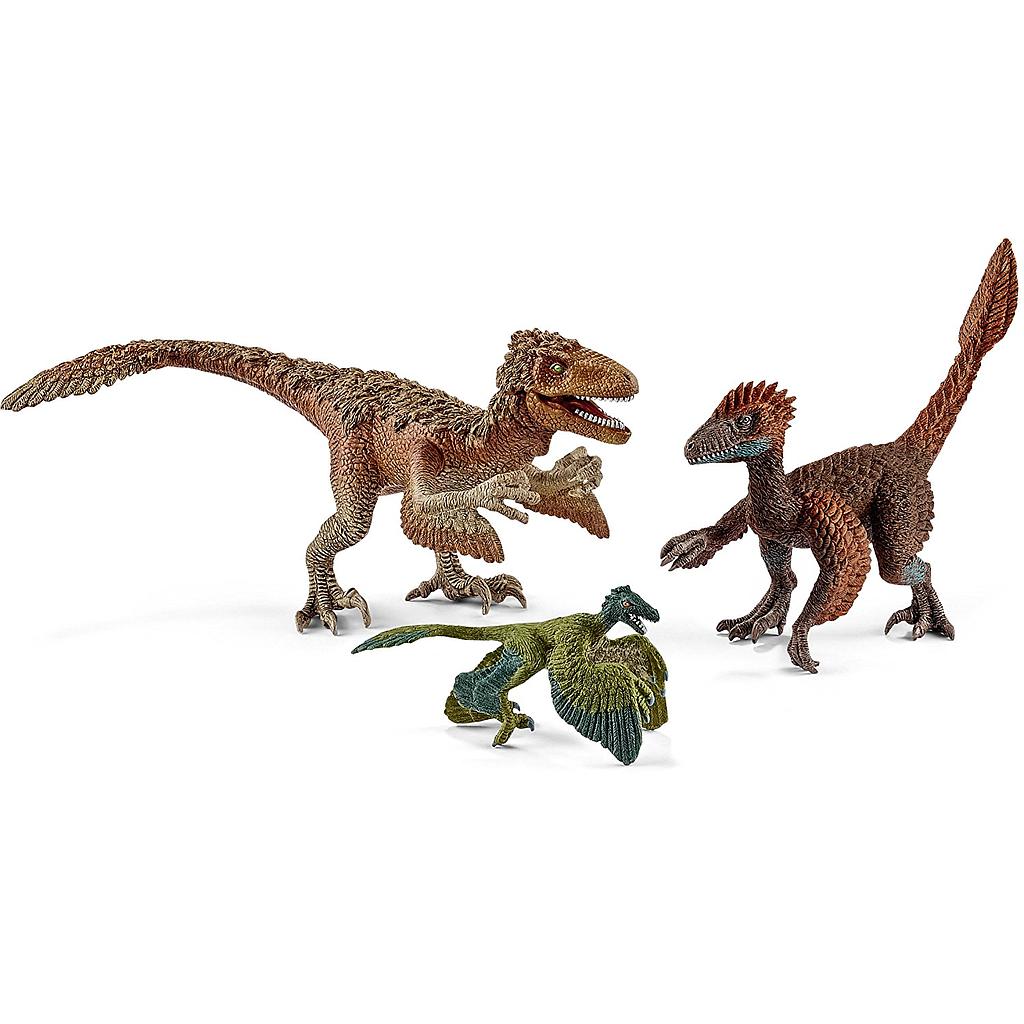 Raptor Piumati
