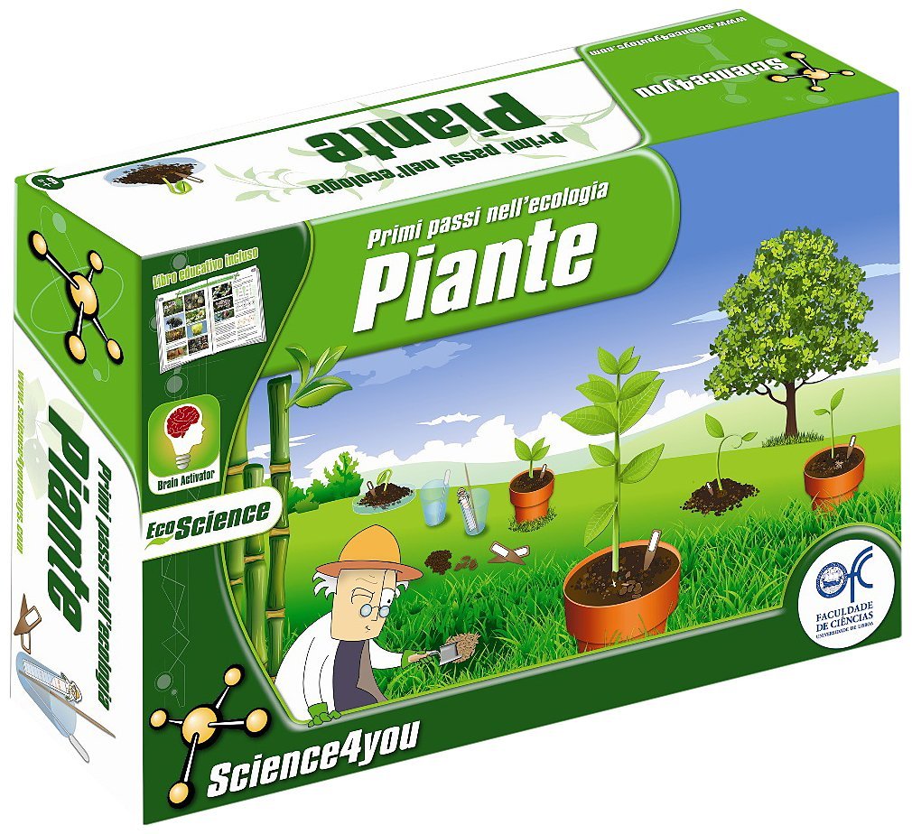 Piante