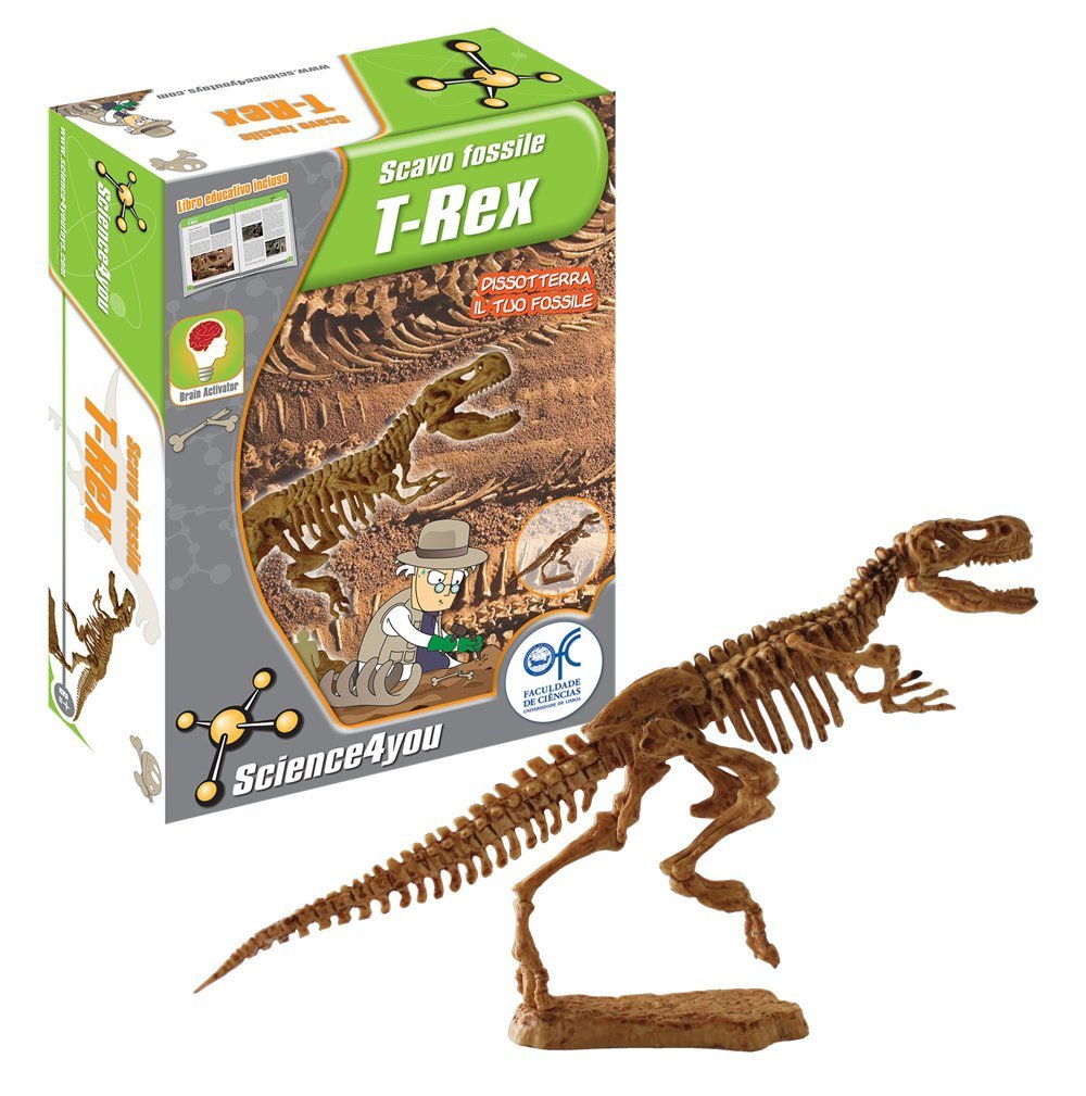 t-rex scavo fossile