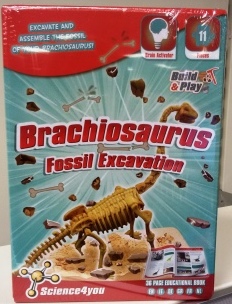 brachiosaurus da scavare