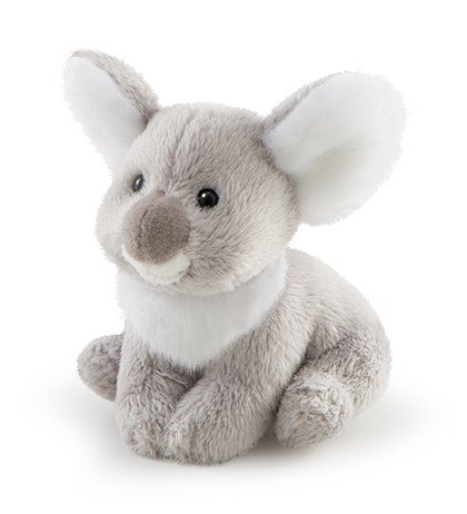 koala sweet collection