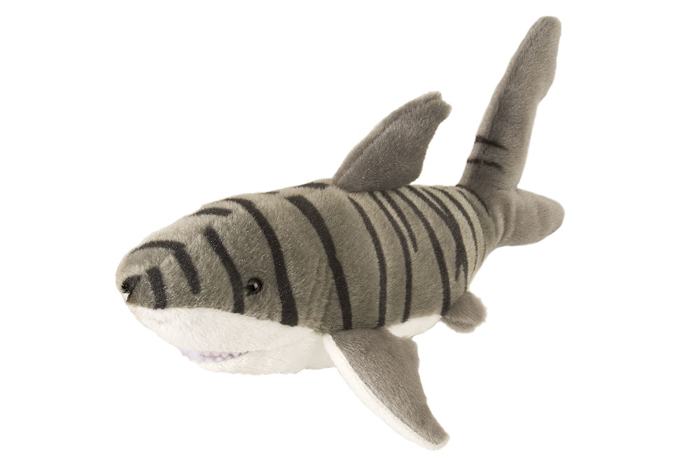 squalo tigre 20cm