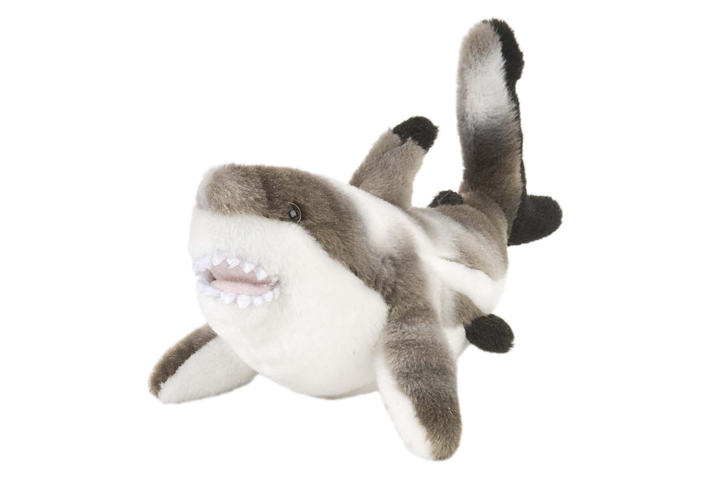 Squalo Pinna Nera 20 cm