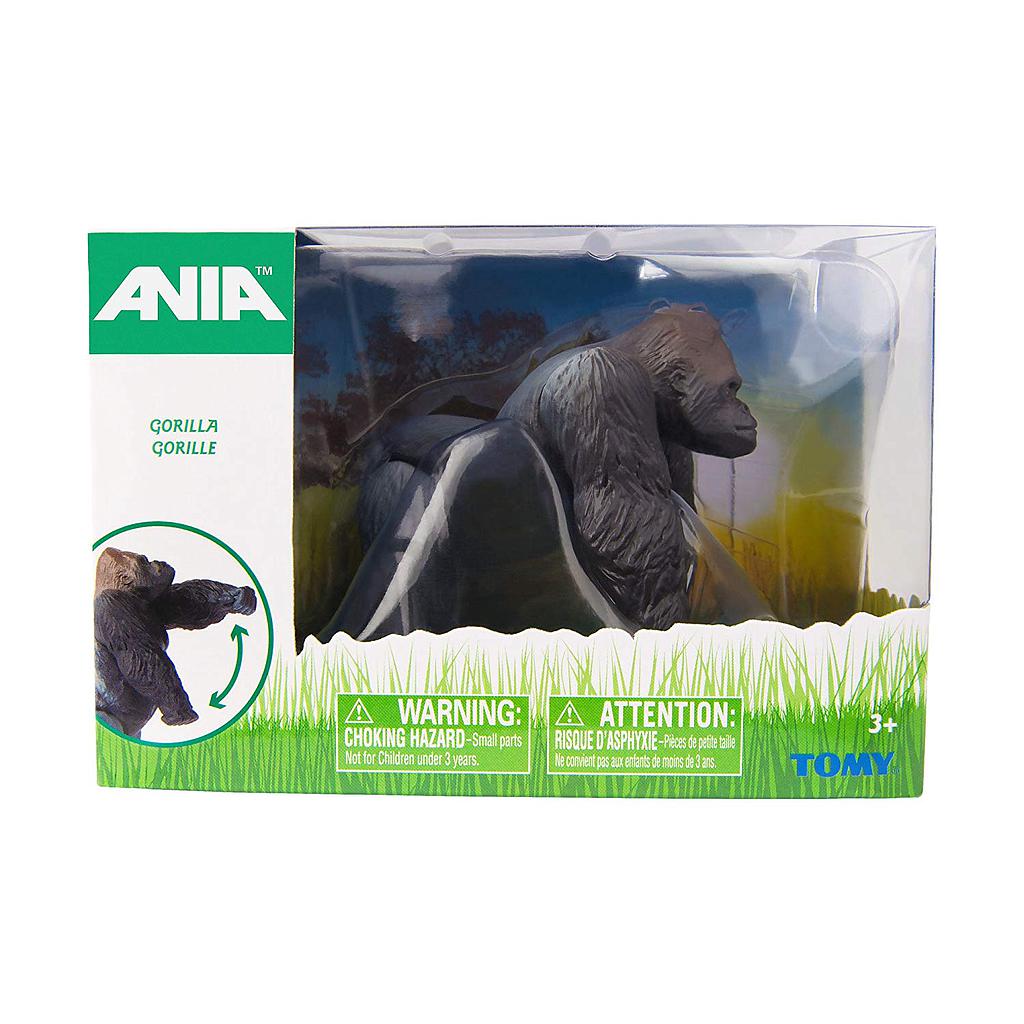 Gorilla