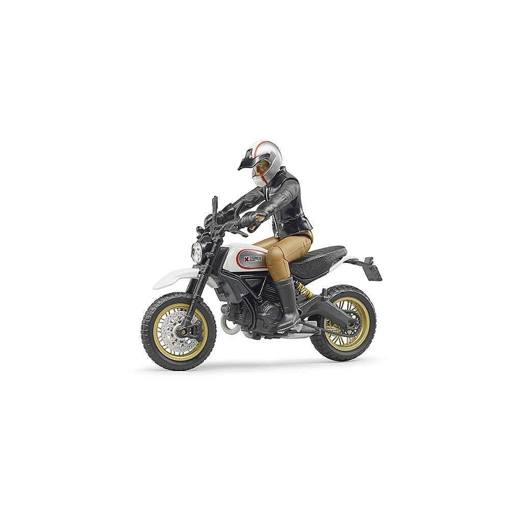 Scrambler Ducati Desert Sled con rider