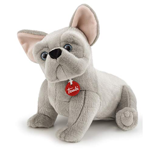 Bulldog francese Bernard 