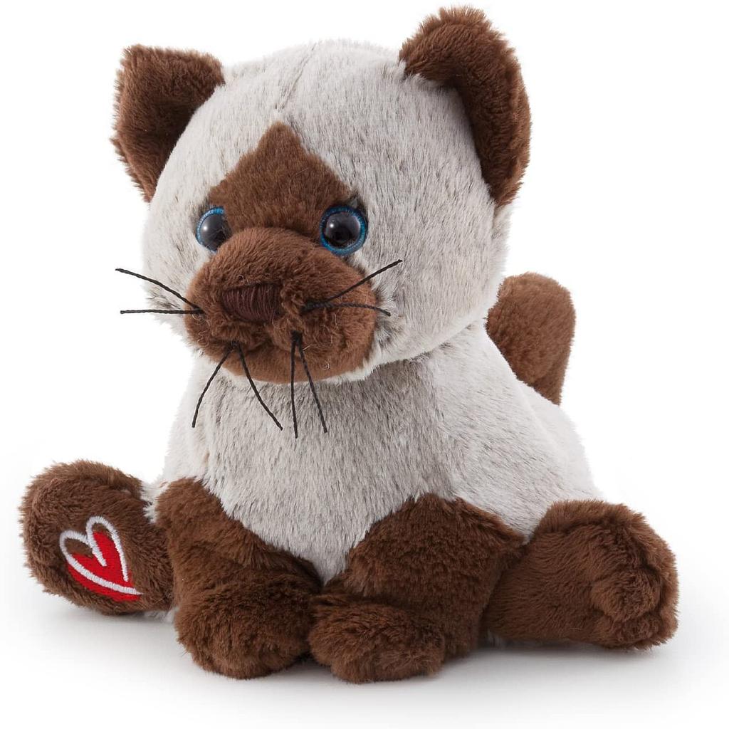 Gatto siamese Bussi