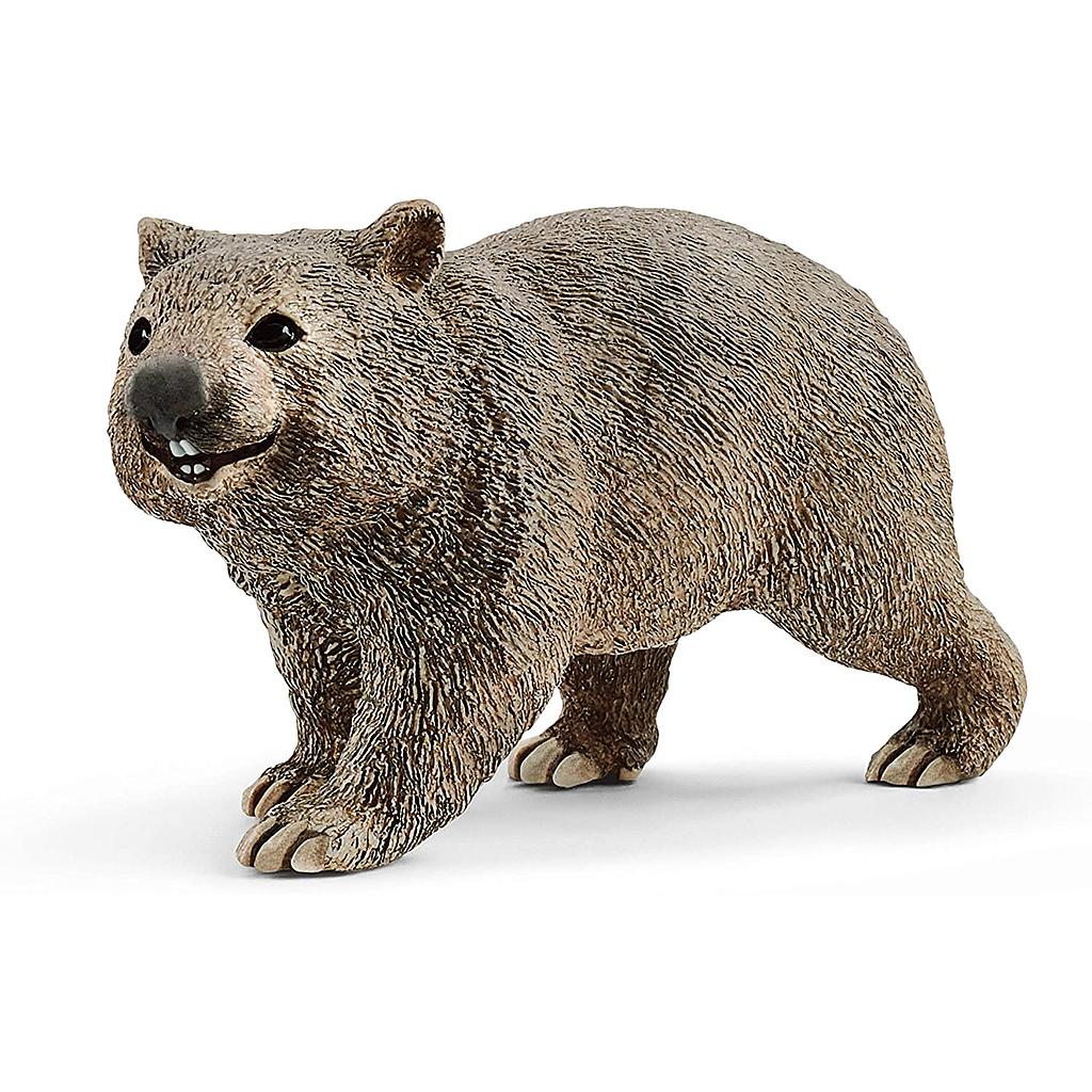 Wombat Wild Life