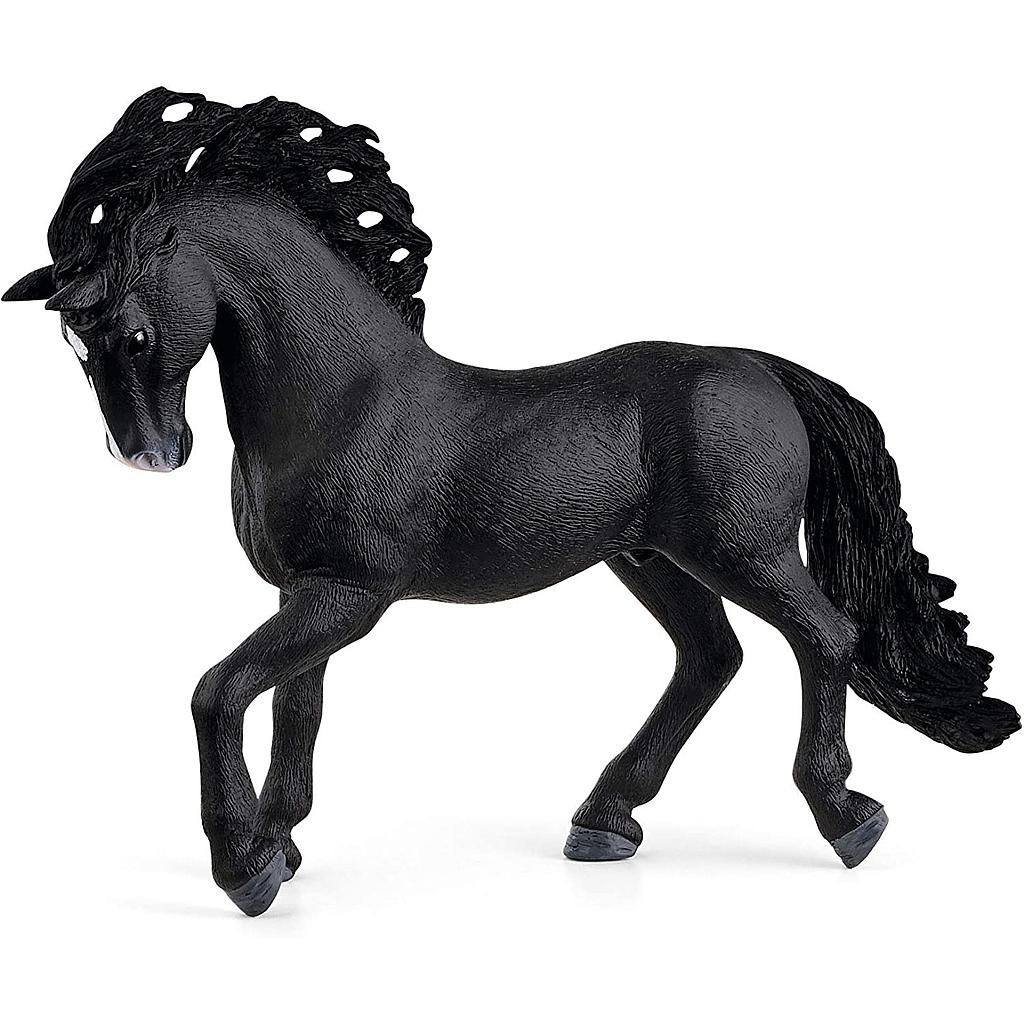 Giumenta di pura razza spagnola Horse Club