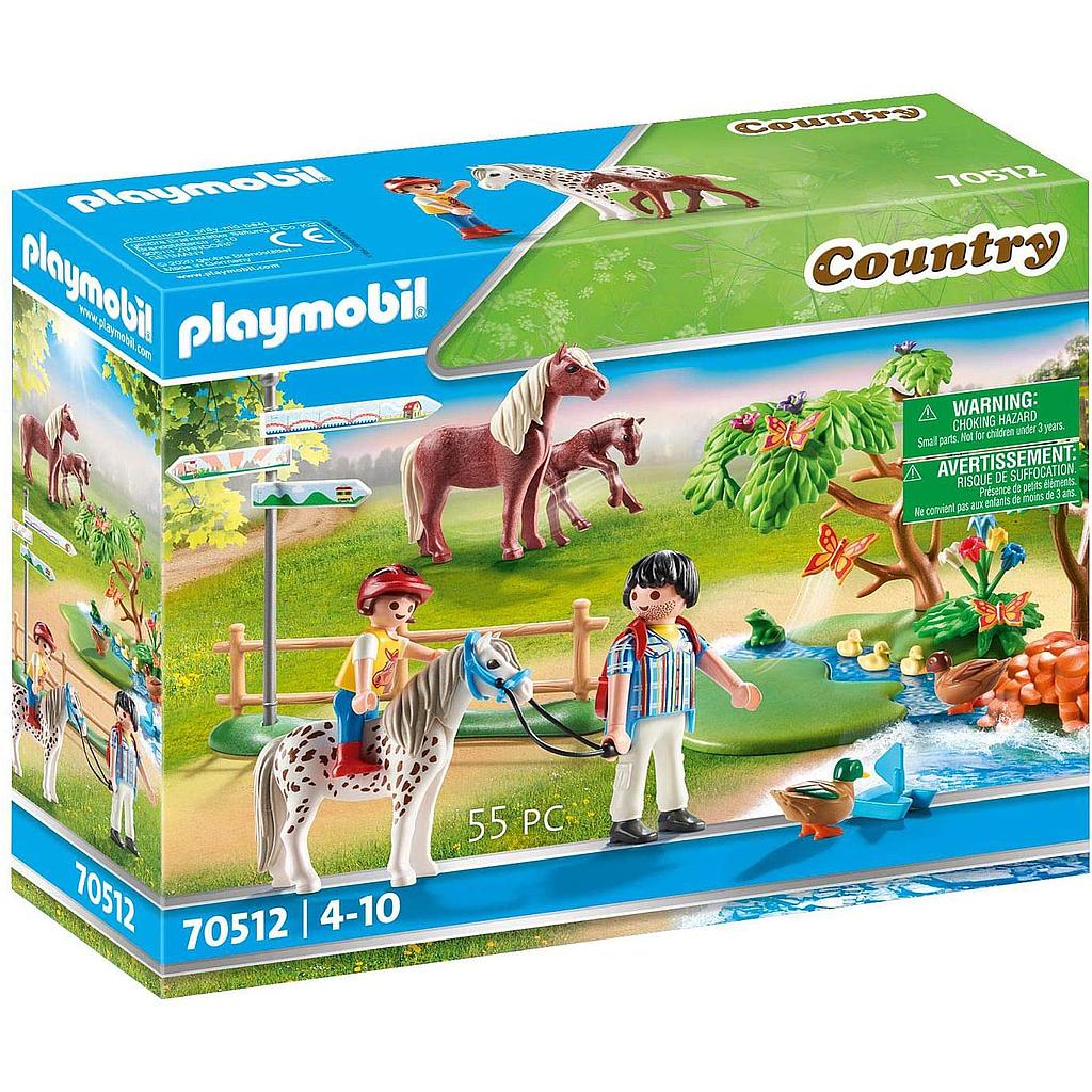passeggiata con i pony