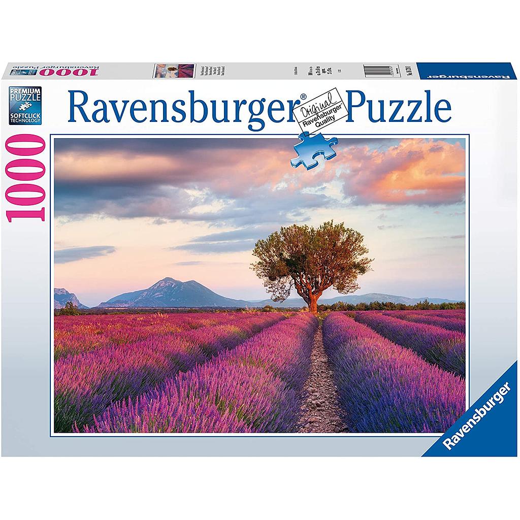 Campi di lavanda 1000pz