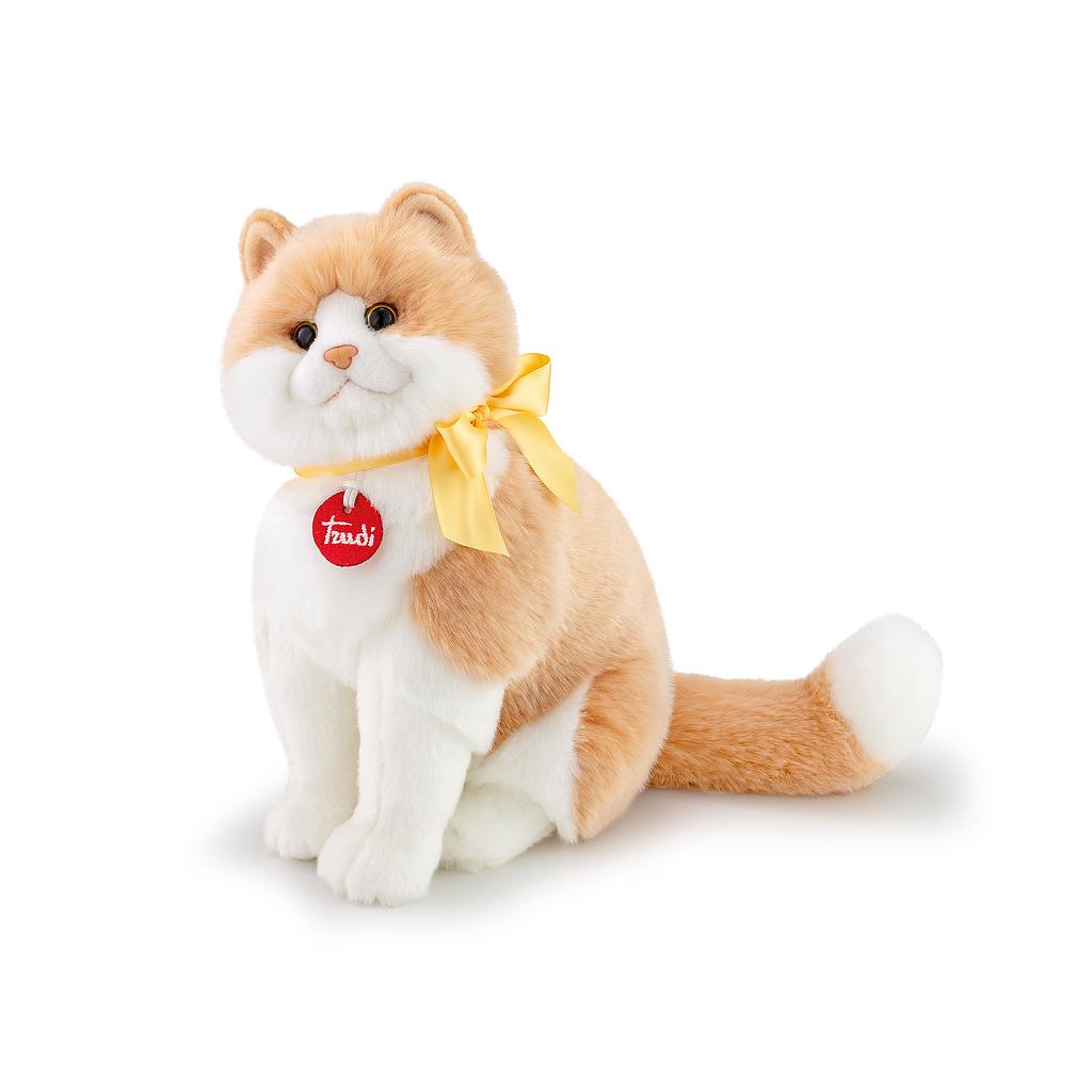 Gatto Charlie M