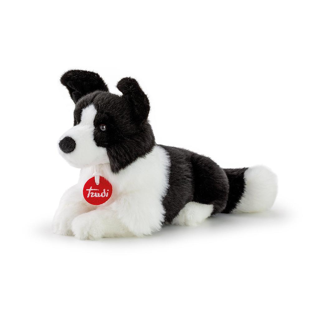 Border Collie Scott small