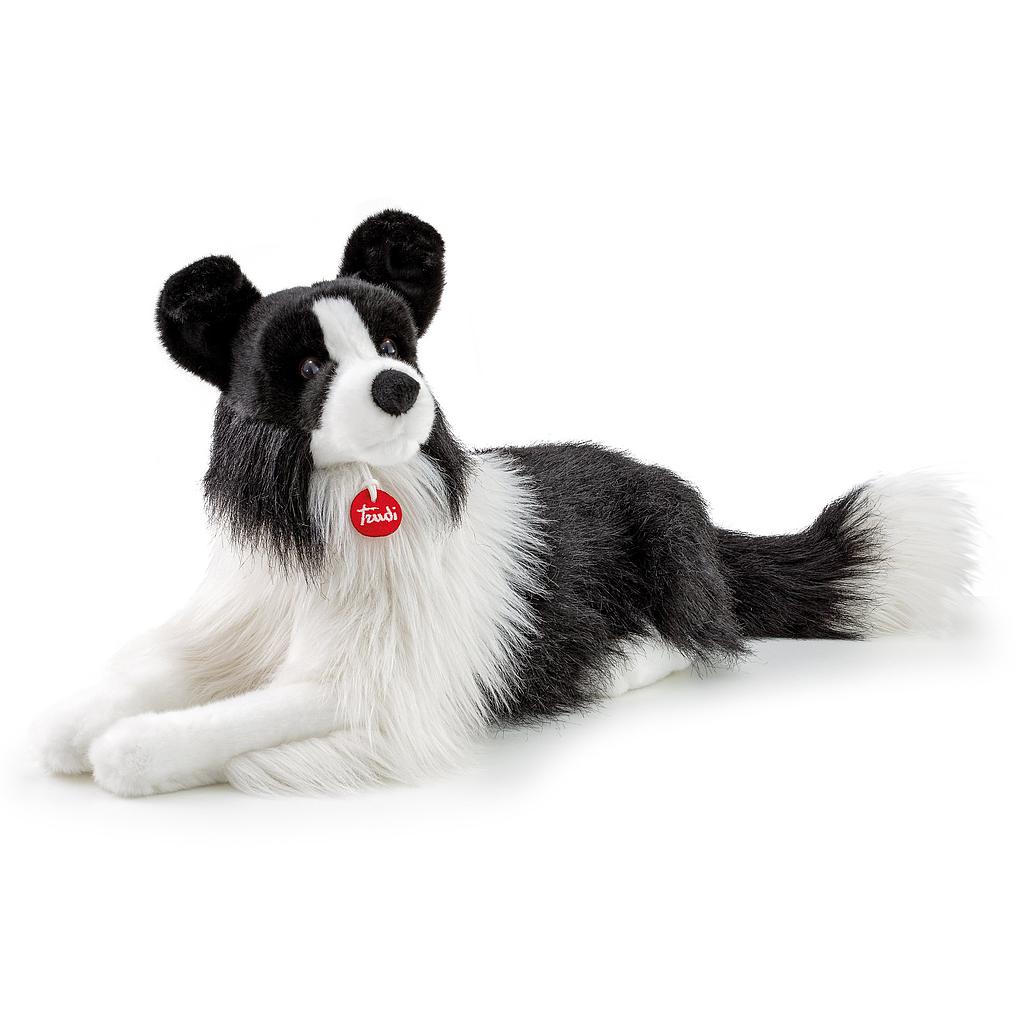 Border Collie Scott large